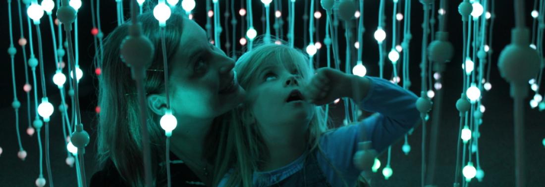 Banner image 1